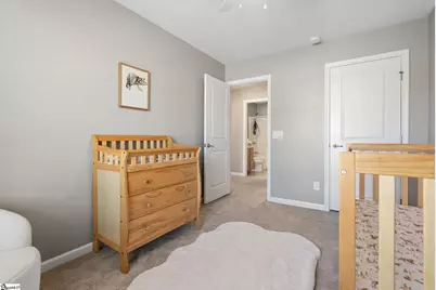 454 Christiane Way, Greenville, SC 29607 - Photo 27