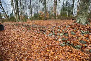 175 Enon Church Rd, Easley, SC 29640 - Photo 23