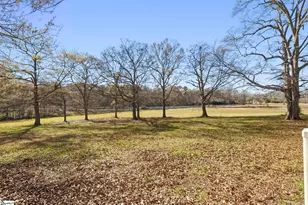 390 Blakely Ave, Piedmont, SC 29673 - Photo 43