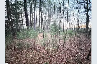111 Hortizone Drive, Woodruff, SC 29388 - Photo 5