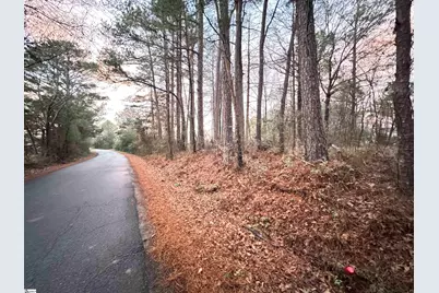 111 Hortizone Drive, Woodruff, SC 29388 - Photo 7