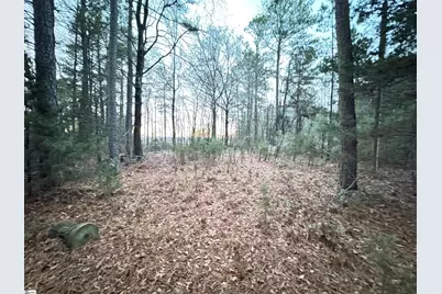 111 Hortizone Drive, Woodruff, SC 29388 - Photo 3