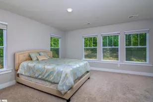 42 Meteora Way, Greenville, SC 29609 - Photo 11