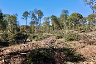 0 Antreville Hwy, Iva, SC 29656 - Photo 11