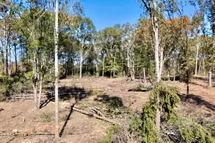 0 Antreville Hwy, Iva, SC 29656 - Photo 23