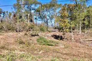 0 Antreville Hwy, Iva, SC 29655 - Photo 13