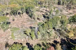 0 Antreville Hwy, Iva, SC 29655 - Photo 17