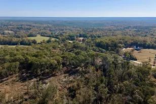 0 Antreville Hwy, Iva, SC 29655 - Photo 7