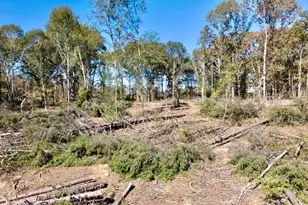 0 Antreville Hwy, Iva, SC 29655 - Photo 11