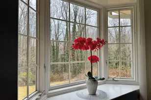 1113 Fox Squirrel Ridge Rd, Pickens, SC 29671 - Photo 13