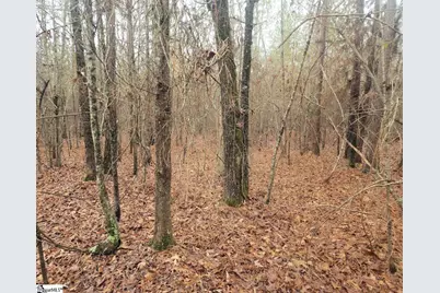 Scott Lane, Pelzer, SC 29669 - Photo 15