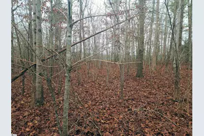 Scott Lane, Pelzer, SC 29669 - Photo 7