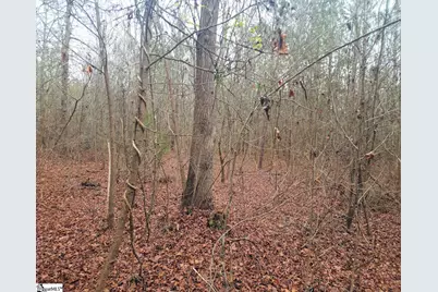 Scott Lane, Pelzer, SC 29669 - Photo 5