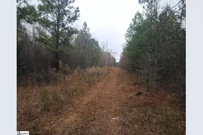 Scott Lane, Pelzer, SC 29669 - Photo 3