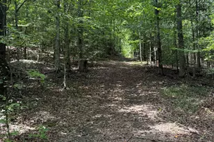 518 McKittrick Bridge Rd, Fountain Inn, SC 29644 - Photo 7