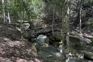 518 McKittrick Bridge Rd, Fountain Inn, SC 29644 - Photo 7