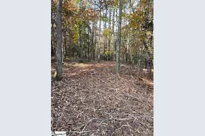 00 Catalan Court #LOT 3- Pennington Farms, Fountain Inn, SC 29644 - Photo 13
