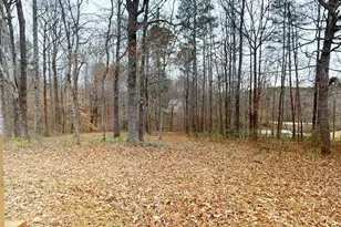 437 Burns Mill Rd, West Union, SC 29696 - Photo 33