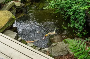 110 Huckleberry Ridge, Greenville, SC 29609 - Photo 5