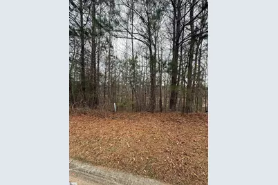 208 Wedge Way, Travelers Rest, SC 29690 - Photo 3