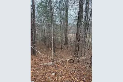 208 Wedge Way, Travelers Rest, SC 29690 - Photo 5