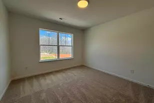 114 Brayden Run, Woodruff, SC 29388 - Photo 11