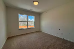 118 Brayden Run, Woodruff, SC 29388 - Photo 11