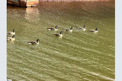 18C Hartwell Villas, Anderson, SC 29626 - Photo 21