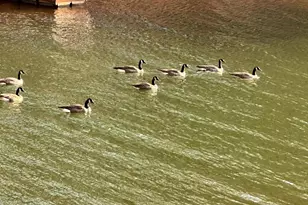 18C Hartwell Villas, Anderson, SC 29626 - Photo 21