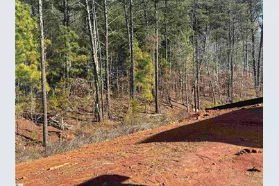 347 E Pyrenees Drive #Lot 135, Wellford, SC 29385 - Photo 35