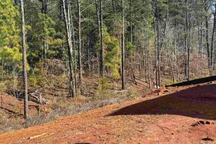 347 E Pyrenees Dr, Wellford, SC 29385 - Photo 35