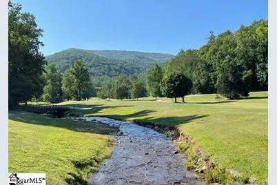 154 Broken Bow Run, Pickens, SC 29671 - Photo 9
