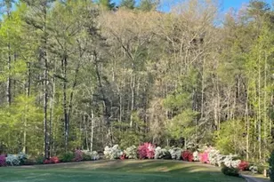 154 Broken Bow Run, Pickens, SC 29671 - Photo 3