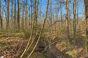 132 Deer Creek Ct, Easley, SC 29642 - Photo 25