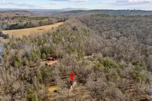 655 Ambler School Rd, Pickens, SC 29671 - Photo 31