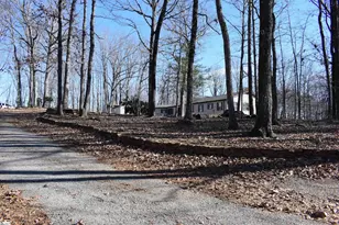 228 Wildwood Ln, Columbus, NC 28722 - Photo 45