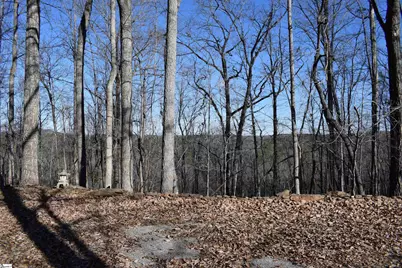 228 Wildwood Lane, Columbus, NC 28722 - Photo 49