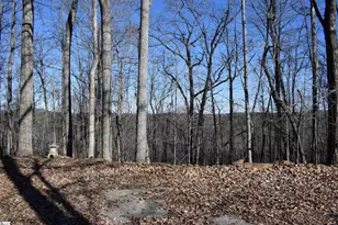 228 Wildwood Ln, Columbus, NC 28722 - Photo 49