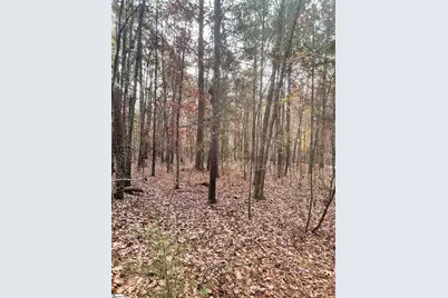 00 Harris Springs Road, Cross Hill, SC 29332 - Photo 3