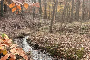 00 Harris Springs Rd, Cross Hill, SC 29332 - Photo 1