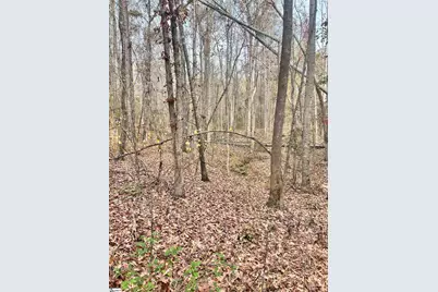 00 Harris Springs Road, Cross Hill, SC 29332 - Photo 11