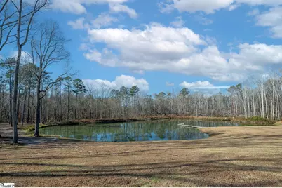 4034 Greenpond Road, Gray Court, SC 29645 - Photo 39