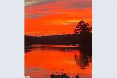 2264 Scurry Island Road, Chappells, SC 29037 - Photo 29