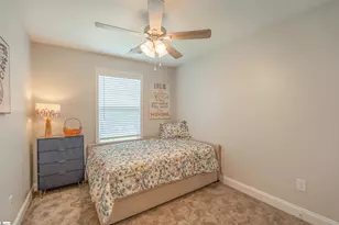 316 Lion heart Ln, Greer, SC 29651 - Photo 19