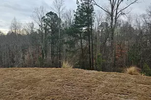 410 Ecton Pl, Greenville, SC 29605 - Photo 21