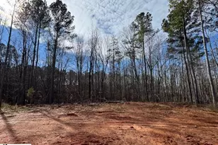 187 Susans Rd, Gaffney, SC 29341 - Photo 25