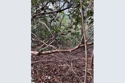 Tbd Cliff Ridge Drive, Greenville, SC 29635 - Photo 9