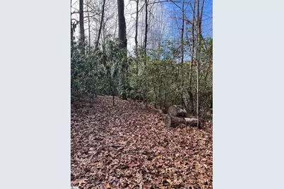 Tbd Cliff Ridge Drive, Greenville, SC 29635 - Photo 7