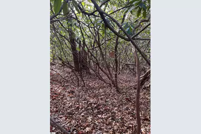 Tbd Cliff Ridge Drive, Greenville, SC 29635 - Photo 11