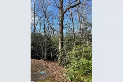 Tbd Cliff Ridge Drive, Greenville, SC 29635 - Photo 3